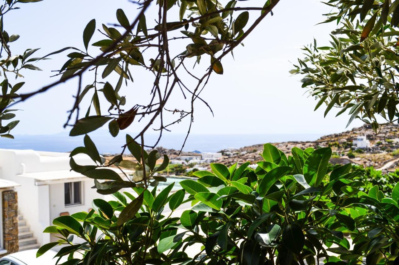Elma'S Summerhouses Mykonos Town Exteriér fotografie